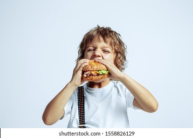 Pretty Young Curly Boy In Casual Clothes On White Studio Background. Eating Burger. Caucasian Male Preschooler With Bright Facial Emotions. Childhood, Expression, Having Fun, Fast Food. Hungry.