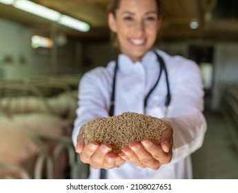 Pretty young veterinarian holding dry feed for livestock in front of pigs in stable - Shutterstock ID 2108027651
