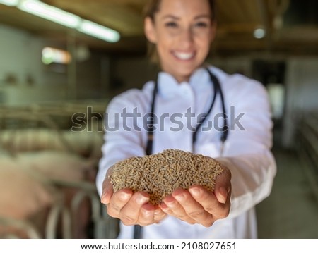 Pretty young veterinarian holding dry feed for livestock in front of pigs in stable