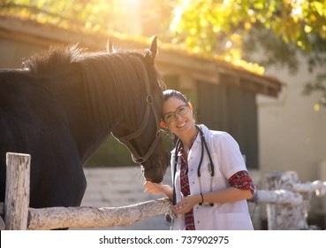 Pretty young veterinarian hugging and cuddling black horse on farm - Powered by Shutterstock