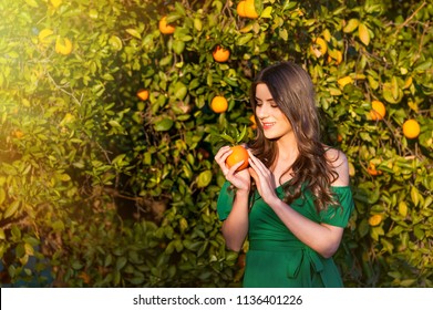 Pretty Young Woman, Outdoors At Sunset In A Orange Orchard, Smiling, Holding An Orange Fruit. Healthy Lifestyle Concept, Skin And Hair Care Concept.