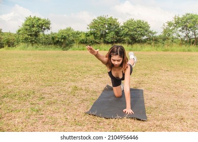 A Pretty Young Woman Performs Bird Dogs On The Grass Of An Open Field. Lower Back And Ab Workout.