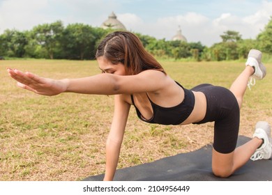 A Pretty Young Woman Performs Bird Dogs On The Grass Of An Open Field. Lower Back And Ab Workout.