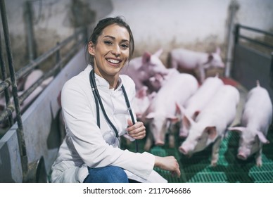 Pretty young woman veterinarian in white coat and with stethoscope squatting in modern pigpen with piglets - Powered by Shutterstock