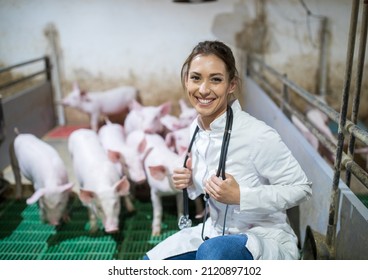 Pretty young woman veterinarian in white coat and with stethoscope squatting in modern pigpen with piglets - Powered by Shutterstock