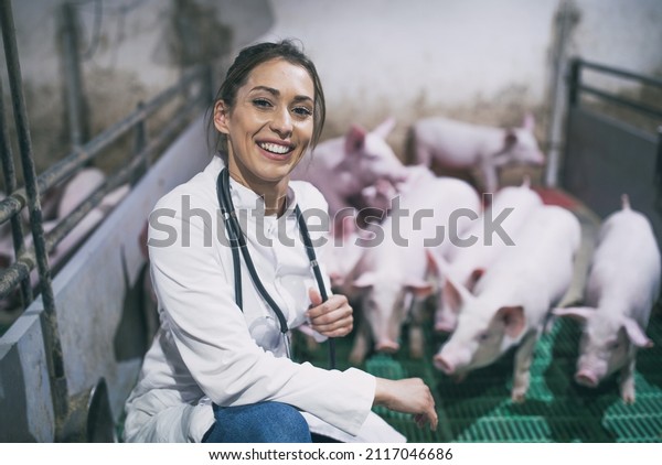 Pretty young\
woman veterinarian in white coat and with stethoscope squatting in\
modern pigpen with\
piglets