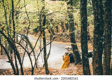 Pretty Young Woman In Yellow Clothes Drinks Tea And Reads Paper Map Sitting In Open Trunk Of Hatchback Car On Rural Road In Picturesque Autumn Forest. 