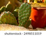 Prickly Pear Cactus Close-up in Rustic Garden Setting. Vibrant Green Opuntia Pads with Red Glochids Nestled Among Terra Cotta Pots