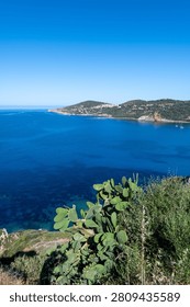 Prickly pear cactus frames a sweeping view of a deep blue bay and distant coastal village.