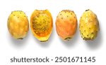 Prickly pear cactus, set of Opuntia edible fruit macro shot, isolated on white background. Whole and halved fresh tasty sweet exotic fruits macro shot. Opuntia ficus indica, top view, flat lay 