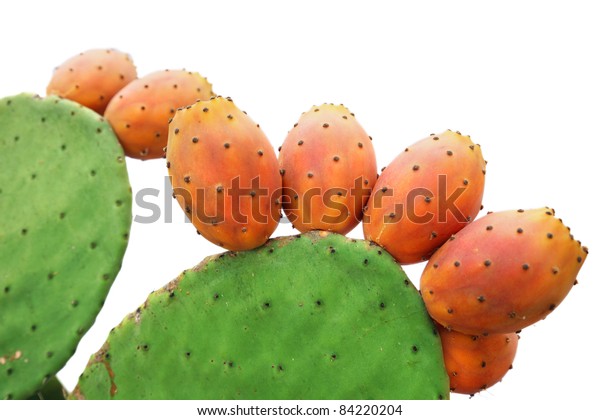prickly pears cactus fruitsand leaf isolated\
on white background