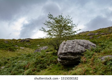 364 Cork And Kerry Mountains Images, Stock Photos & Vectors | Shutterstock