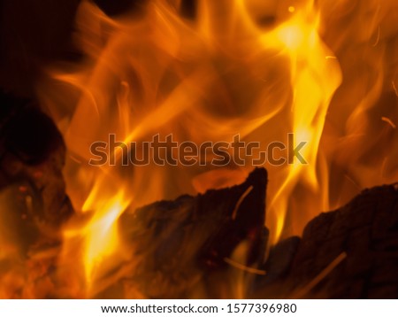 Primal bewitching magic of fire. Dance of orange flames on charred logs. Bonfire burning with crackling.