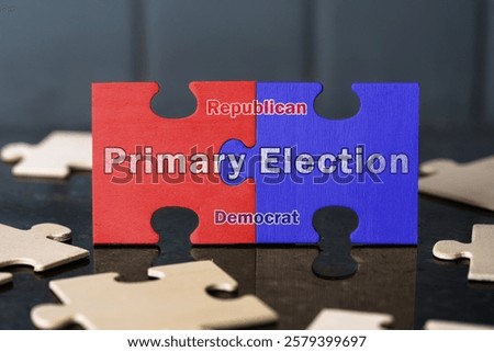 Primary Election Dynamics, Interlocking Puzzle Pieces, Republican Democrat Political Divide
