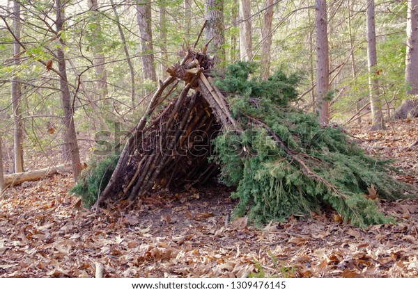 Primitive Bushcraft survival\
debris hut with campfire ring outside. Blanket, shelter, fire in\
the forest.
