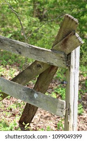 Primitive Fence Posts