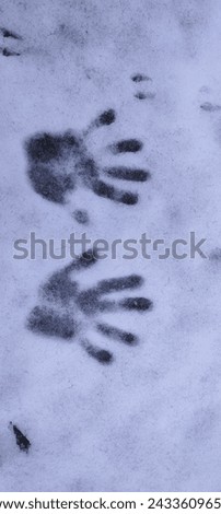 Primitive humans forefathers footprints ok