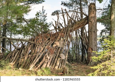 Primitive, rustic shelter in the woods made of a fallen log and branches. Concepts of survival, off the grid, and wilderness - Powered by Shutterstock