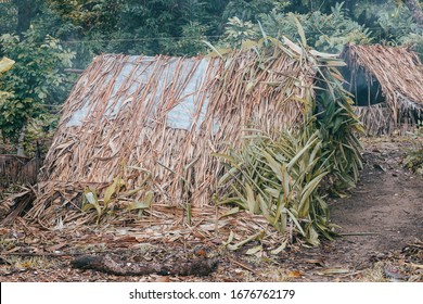 Primitive Shelter For Fishermen On Masoala Island, Madagascar