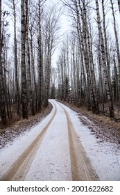 Prince Albert National Park In Winter Saskatchewan Waskesiu