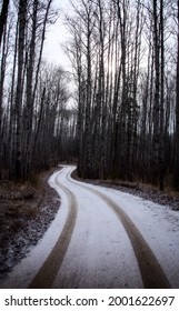 Prince Albert National Park In Winter Saskatchewan Waskesiu