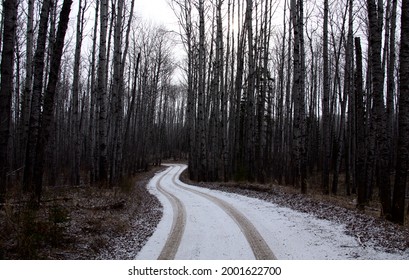 Prince Albert National Park In Winter Saskatchewan Waskesiu