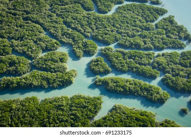 Prince Frederick Harbour, Hunter River, Porosus Creek