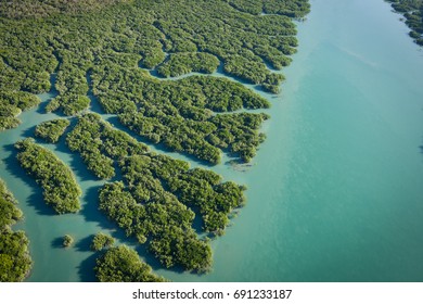 Prince Frederick Harbour, Hunter River, Porosus Creek