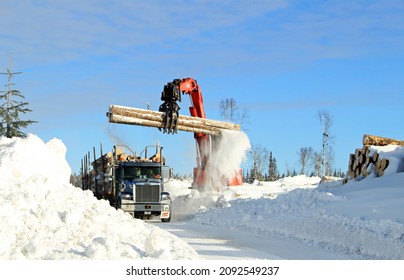 Prince George, British Columbia, Canada - February 15, 2021: Active logging operations showing a loader grabbing logs.