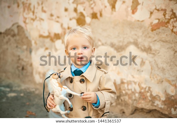prince on white horse. small boy prince. small kid\
with toy horse. happy childhood. childrens day. little boy in\
vintage coat. Fashion look. retro style. Playing toys. Do you like\
it. toy in kid hand.
