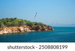 Princes Islands rocky shore and the panoramic Istanbul city skyline far away on the horizon. View from the ferry in the Sea of Marmara and flying seagull in the blue sky