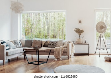 Print Pattern Pillows On A Beige Corner Sofa By A Big Glass Window In A Warm Living Room Interior With White Walls