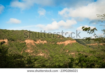 printabele fineart brazil mountain tropical