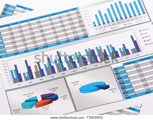 Printed Annual Report Charts Diagrams Stock Photo 73069843 | Shutterstock