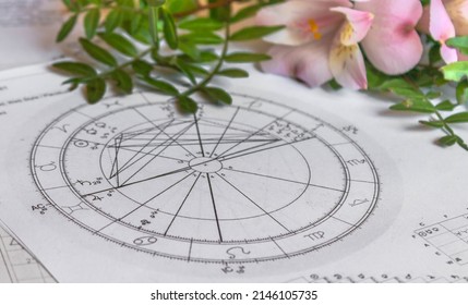 Printed astrology charts, pink flowers and green plant branches  - Powered by Shutterstock