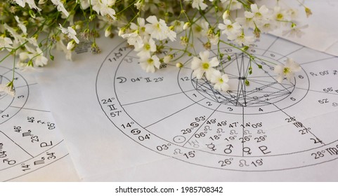 Printed astrology charts with planets and small white spring flowers in the background