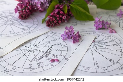 Printed astrology charts with tiny lilac flowers and a part of a