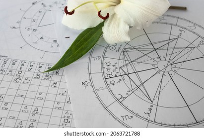 Printed astrology charts with a white lily in the background