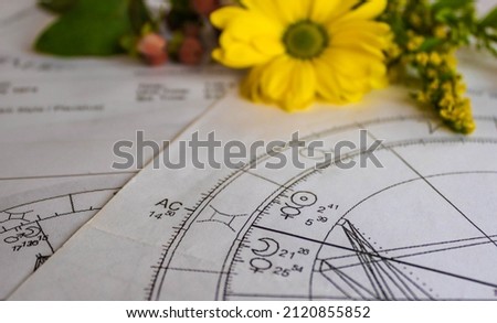 Printed astrology charts with yellow flowers in the background	