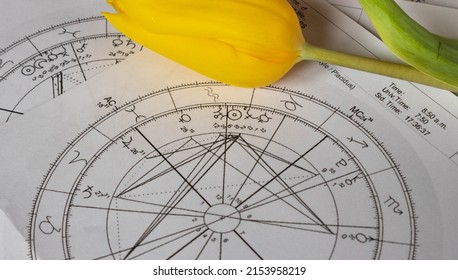 Printed astrology charts with a yellow tulip in the background - Shutterstock ID 2153958219