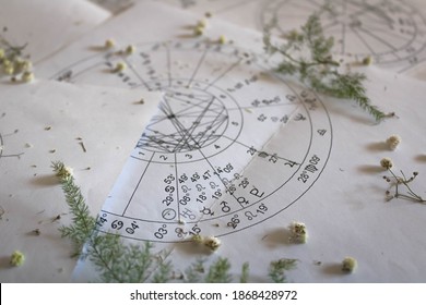 Printed astrology natal charts with small yellow flowers and fragile green plant branches, annual and New Year horoscope background
