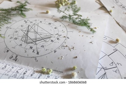 Printed astrology natal charts with small yellow flowers and fragile green plant branches, annual and New Year horoscope background - Shutterstock ID 1868606068