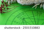 Printed green astrology chart with dried flowers in the background, Sun and Uranus in Aquarius, detail