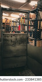 In prison of the idea