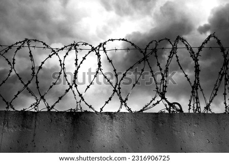 Prison wall with barbed wire. Law. Crime. Jail