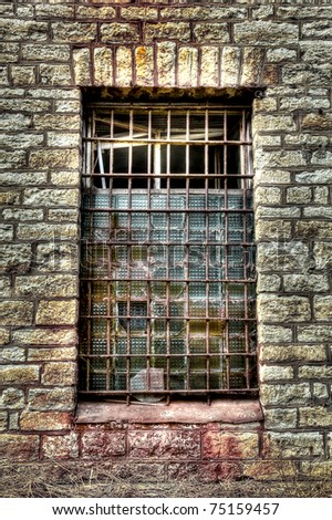 Prison window cage