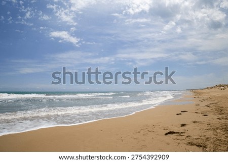 A pristine beach gently touched by ocean waves, capturing the beauty and tranquility of an unspoiled coastline