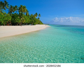 A pristine beach in Maldives  - Shutterstock ID 2028452186