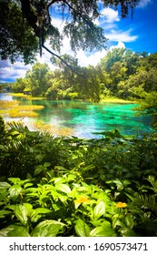 Rainbow River の画像 写真素材 ベクター画像 Shutterstock Rainbow River の画像 写真素材 ベクター画像 Shutterstock