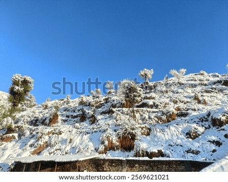 Image, Stock Photo snow from yesterday Snow